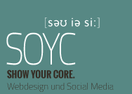 SOYC_Stoerer.png